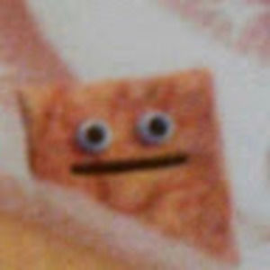 Meet your Posher, Shelby